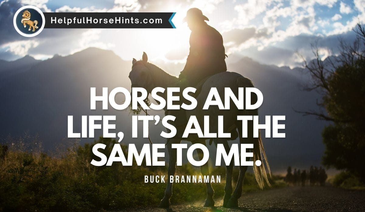 45+ Cowboy Quotes and Sayings - Helpful Horse Hints